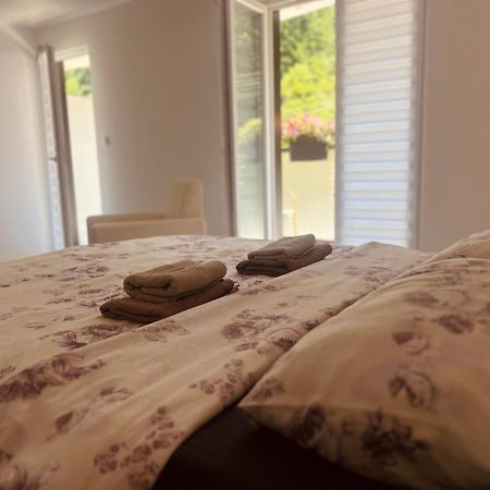 Zeleni Dvor Bed & Breakfast Ribarska Banja Luaran gambar