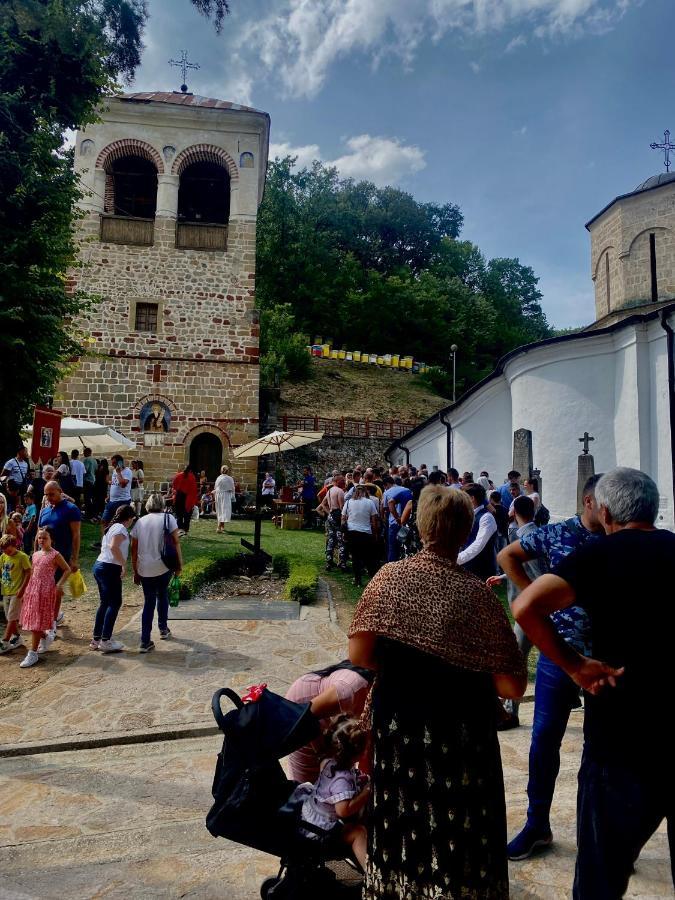 Zeleni Dvor Bed & Breakfast Ribarska Banja Luaran gambar