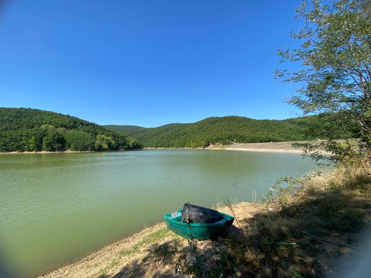 Zeleni Dvor Bed & Breakfast Ribarska Banja Luaran gambar