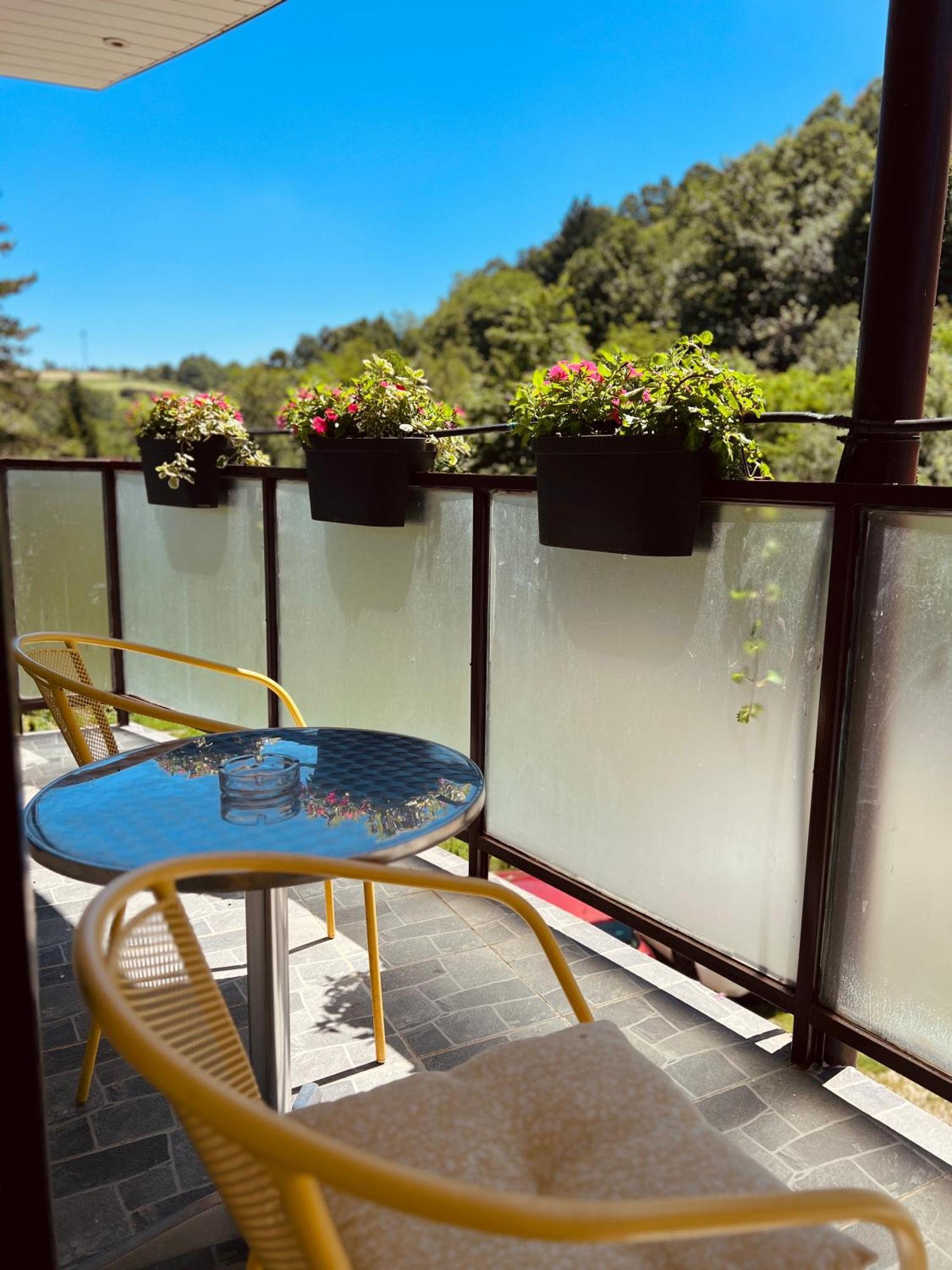 Zeleni Dvor Bed & Breakfast Ribarska Banja Luaran gambar